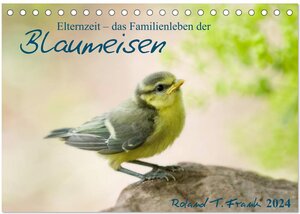 Buchcover Elternzeit - das Familienleben der Blaumeisen (Tischkalender 2024 DIN A5 quer), CALVENDO Monatskalender | Roland T. Frank | EAN 9783383599736 | ISBN 3-383-59973-6 | ISBN 978-3-383-59973-6