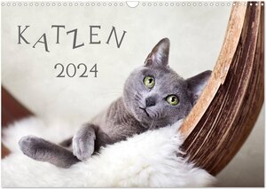 Buchcover Katzen 2024 (Wandkalender 2024 DIN A3 quer), CALVENDO Monatskalender | Nailia Schwarz | EAN 9783383631016 | ISBN 3-383-63101-X | ISBN 978-3-383-63101-6