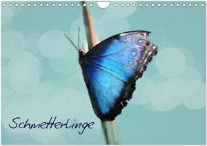 Buchcover Schmetterlinge (Wandkalender 2024 DIN A4 quer), CALVENDO Monatskalender | Heike Hultsch | EAN 9783383635687 | ISBN 3-383-63568-6 | ISBN 978-3-383-63568-7
