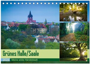 Buchcover Grünes Halle/Saale - Meine wilde Händelstadt (Tischkalender 2024 DIN A5 quer), CALVENDO Monatskalender | Martin Wasilewski | EAN 9783383636271 | ISBN 3-383-63627-5 | ISBN 978-3-383-63627-1