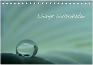 Buchcover Winzige Kostbarkeiten (Tischkalender 2024 DIN A5 quer), CALVENDO Monatskalender | Heike Hultsch | EAN 9783383636394 | ISBN 3-383-63639-9 | ISBN 978-3-383-63639-4