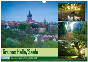 Buchcover Grünes Halle/Saale - Meine wilde Händelstadt (Wandkalender 2024 DIN A3 quer), CALVENDO Monatskalender | Martin Wasilewski | EAN 9783383636684 | ISBN 3-383-63668-2 | ISBN 978-3-383-63668-4