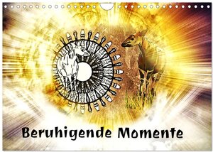 Buchcover Mandalas 2024 - Beruhigende Momente (Wandkalender 2024 DIN A4 quer), CALVENDO Monatskalender | Rufebo Rufebo | EAN 9783383689512 | ISBN 3-383-68951-4 | ISBN 978-3-383-68951-2