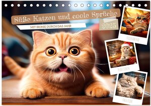 Buchcover Süße Katzen und coole Sprüche (Tischkalender 2025 DIN A5 quer), CALVENDO Monatskalender | Melanie Viola | EAN 9783383773518 | ISBN 3-383-77351-5 | ISBN 978-3-383-77351-8