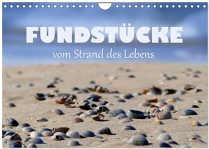 Buchcover Fundstücke vom Strand des Lebens (Wandkalender 2025 DIN A4 quer), CALVENDO Monatskalender | Christine B-B Müller | EAN 9783383852480 | ISBN 3-383-85248-2 | ISBN 978-3-383-85248-0