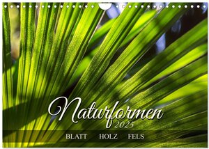 Buchcover Naturformen, Blatt, Holz, Fels (Wandkalender 2025 DIN A4 quer), CALVENDO Monatskalender | Werner Braun | EAN 9783383862373 | ISBN 3-383-86237-2 | ISBN 978-3-383-86237-3