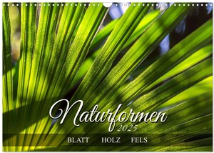 Buchcover Naturformen, Blatt, Holz, Fels (Wandkalender 2025 DIN A3 quer), CALVENDO Monatskalender | Werner Braun | EAN 9783383897979 | ISBN 3-383-89797-4 | ISBN 978-3-383-89797-9