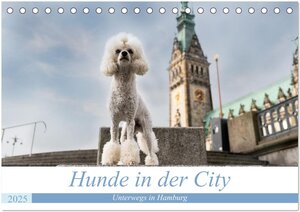 Buchcover Hunde in der City - Unterwegs in Hamburg (Tischkalender 2025 DIN A5 quer), CALVENDO Monatskalender | Sonja Teßen | EAN 9783383999055 | ISBN 3-383-99905-X | ISBN 978-3-383-99905-5