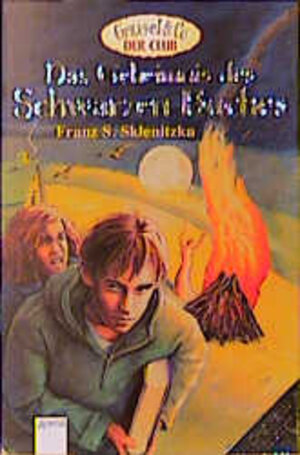 Buchcover Das Geheimnis des Schwarzen Buches | Franz S Sklenitzka | EAN 9783401052458 | ISBN 3-401-05245-4 | ISBN 978-3-401-05245-8
