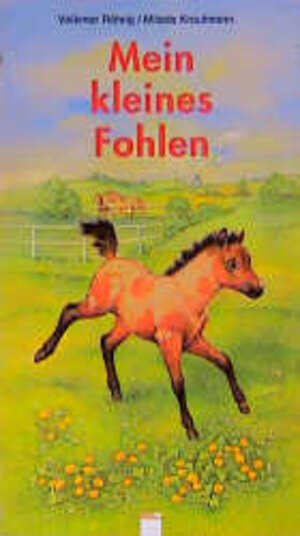 Buchcover Mein kleines Fohlen | Volkmar Röhrig | EAN 9783401077253 | ISBN 3-401-07725-2 | ISBN 978-3-401-07725-3