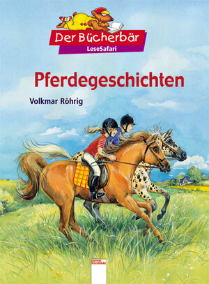 Buchcover Pferdegeschichten | Volkmar Röhrig | EAN 9783401089072 | ISBN 3-401-08907-2 | ISBN 978-3-401-08907-2