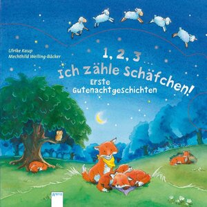 Buchcover 1,2,3 Ich zähle Schäfchen! | Ulrike Kaup | EAN 9783401094113 | ISBN 3-401-09411-4 | ISBN 978-3-401-09411-3