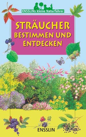 Buchcover Sträucher bestimmen und entdecken | James Gourier | EAN 9783401452555 | ISBN 3-401-45255-X | ISBN 978-3-401-45255-5