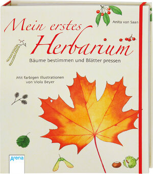 Buchcover Mein erstes Herbarium - Bäume bestimmen und Blätter pressen | Anita van Saan | EAN 9783401452562 | ISBN 3-401-45256-8 | ISBN 978-3-401-45256-2