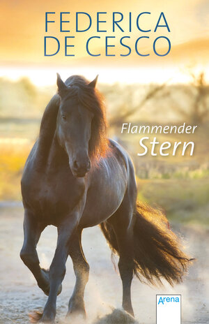 Buchcover Flammender Stern | Federica de Cesco | EAN 9783401509808 | ISBN 3-401-50980-2 | ISBN 978-3-401-50980-8