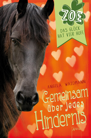 Buchcover Gemeinsam über jedes Hindernis. Zoe. Das Glück hat vier Hufe (4) | Angela Waidmann | EAN 9783401602790 | ISBN 3-401-60279-9 | ISBN 978-3-401-60279-0