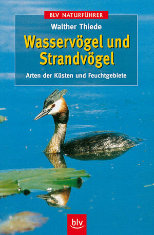 Wasservögel und Strandvögel: Arten der Küsten und Feuchtgebiete