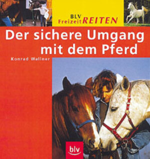 Der sichere Umgang mit dem Pferd