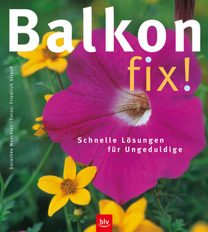 Buchcover Balkon fix! | Dorothée Waechter | EAN 9783405166038 | ISBN 3-405-16603-9 | ISBN 978-3-405-16603-8
