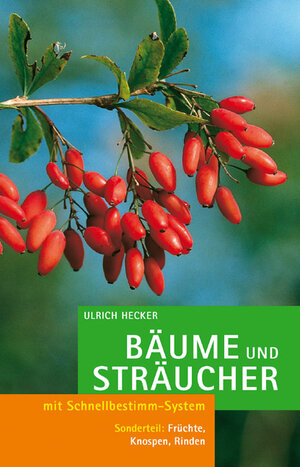 Bäume und Sträucher