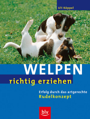 Welpen richtig erziehen. Erfolg durch das artgerechte Rudelkonzept