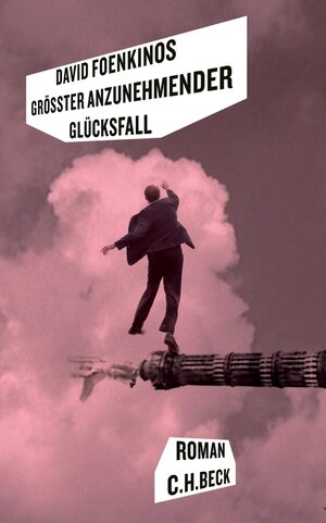 Buchcover Größter anzunehmender Glücksfall | David Foenkinos | EAN 9783406550683 | ISBN 3-406-55068-1 | ISBN 978-3-406-55068-3