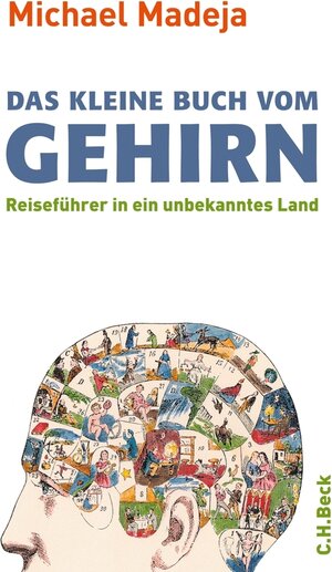 Buchcover Das kleine Buch vom Gehirn | Michael Madeja | EAN 9783406610011 | ISBN 3-406-61001-3 | ISBN 978-3-406-61001-1