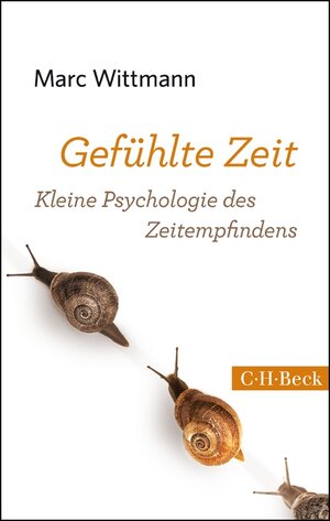 Buchcover Gefühlte Zeit | Marc Wittmann | EAN 9783406672828 | ISBN 3-406-67282-5 | ISBN 978-3-406-67282-8
