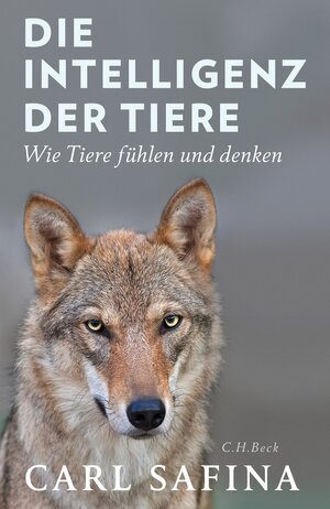 Buchcover Die Intelligenz der Tiere | Carl Safina | EAN 9783406707919 | ISBN 3-406-70791-2 | ISBN 978-3-406-70791-9