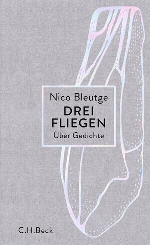 Buchcover Drei Fliegen | Nico Bleutge | EAN 9783406755330 | ISBN 3-406-75533-X | ISBN 978-3-406-75533-0