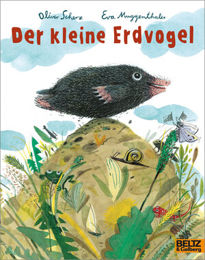 Buchcover Der kleine Erdvogel | Oliver Scherz | EAN 9783407762399 | ISBN 3-407-76239-9 | ISBN 978-3-407-76239-9