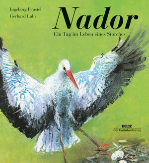 Buchcover Nador | Ingeborg Feustel | EAN 9783407770585 | ISBN 3-407-77058-8 | ISBN 978-3-407-77058-5