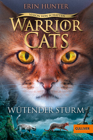 Buchcover Warrior Cats - Vision von Schatten. Wütender Sturm  | EAN 9783407812667 | ISBN 3-407-81266-3 | ISBN 978-3-407-81266-7