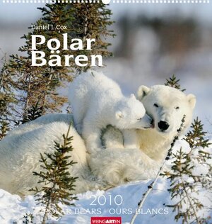 Buchcover Weingarten-Kalender Polarbären 2010  | EAN 9783411807284 | ISBN 3-411-80728-8 | ISBN 978-3-411-80728-4