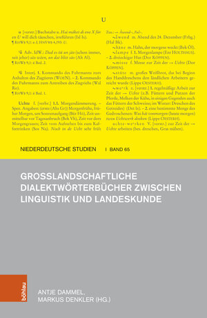 Buchcover Großlandschaftliche Dialektwörterbücher zwischen Linguistik und Landeskunde  | EAN 9783412529932 | ISBN 3-412-52993-1 | ISBN 978-3-412-52993-2