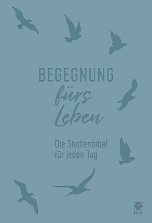 Buchcover Begegnung fürs Leben, Kunstleder  | EAN 9783417257861 | ISBN 3-417-25786-7 | ISBN 978-3-417-25786-1