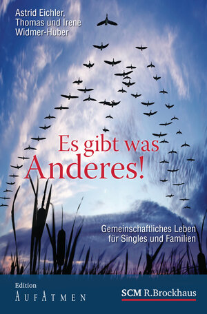 Buchcover Es gibt was Anderes! | Astrid Eichler | EAN 9783417263473 | ISBN 3-417-26347-6 | ISBN 978-3-417-26347-3