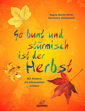 Buchcover So bunt und stürmisch ist der Herbst | Regina Bestle-Körfer | EAN 9783419529003 | ISBN 3-419-52900-7 | ISBN 978-3-419-52900-3