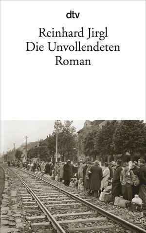 Buchcover Die Unvollendeten | Reinhard Jirgl | EAN 9783423135313 | ISBN 3-423-13531-X | ISBN 978-3-423-13531-3