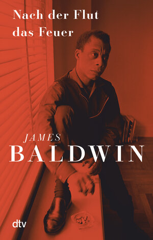 Buchcover Nach der Flut das Feuer | James Baldwin | EAN 9783423147361 | ISBN 3-423-14736-9 | ISBN 978-3-423-14736-1