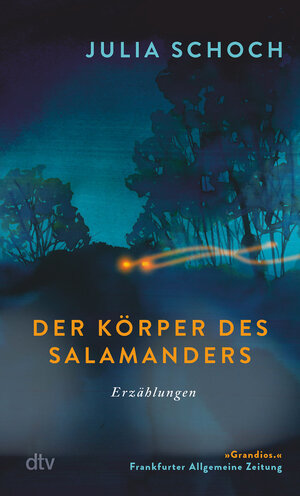 Buchcover Der Körper des Salamanders | Julia Schoch | EAN 9783423148528 | ISBN 3-423-14852-7 | ISBN 978-3-423-14852-8