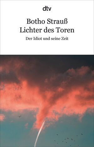 Buchcover Lichter des Toren | Botho Strauß | EAN 9783423148627 | ISBN 3-423-14862-4 | ISBN 978-3-423-14862-7
