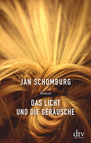 Buchcover Das Licht und die Geräusche | Jan Schomburg | EAN 9783423281089 | ISBN 3-423-28108-1 | ISBN 978-3-423-28108-9