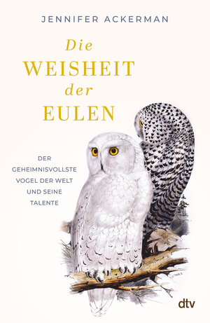 Buchcover Die Weisheit der Eulen | Jennifer Ackerman | EAN 9783423284394 | ISBN 3-423-28439-0 | ISBN 978-3-423-28439-4