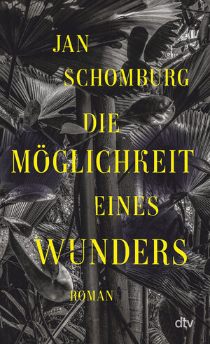 Buchcover Die Möglichkeit eines Wunders | Jan Schomburg | EAN 9783423290180 | ISBN 3-423-29018-8 | ISBN 978-3-423-29018-0