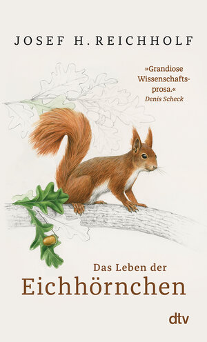 Buchcover Das Leben der Eichhörnchen | Josef H. Reichholf | EAN 9783423349970 | ISBN 3-423-34997-2 | ISBN 978-3-423-34997-0