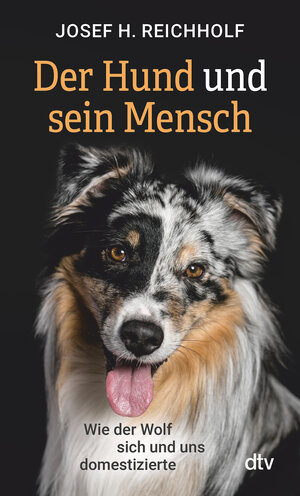 Buchcover Der Hund und sein Mensch | Josef H. Reichholf | EAN 9783423351676 | ISBN 3-423-35167-5 | ISBN 978-3-423-35167-6