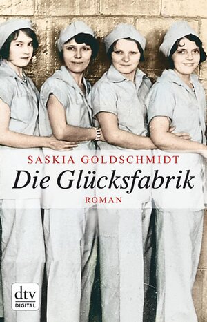 Buchcover Die Glücksfabrik | Saskia Goldschmidt | EAN 9783423423229 | ISBN 3-423-42322-6 | ISBN 978-3-423-42322-9