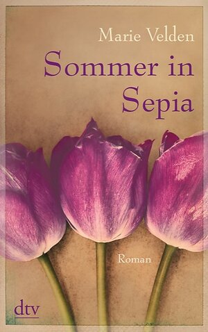 Buchcover Sommer in Sepia | Marie Velden | EAN 9783423423618 | ISBN 3-423-42361-7 | ISBN 978-3-423-42361-8