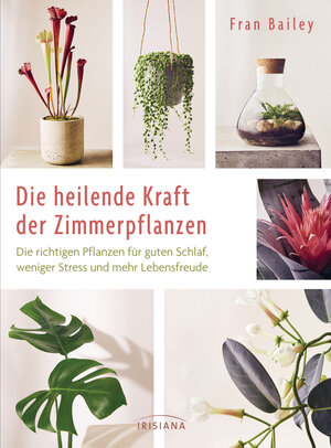 Buchcover Die heilende Kraft der Zimmerpflanzen | Fran Bailey | EAN 9783424153712 | ISBN 3-424-15371-0 | ISBN 978-3-424-15371-2